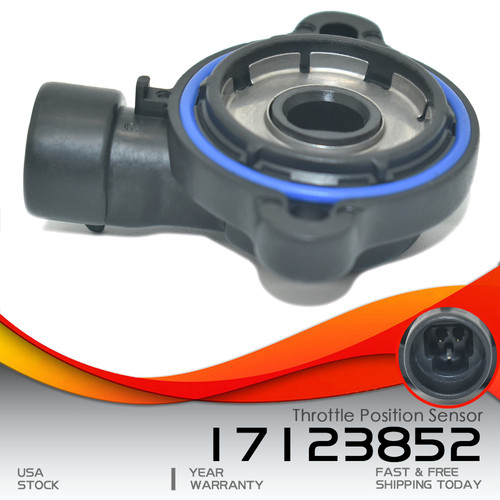 Throttle position sensor - throttle,